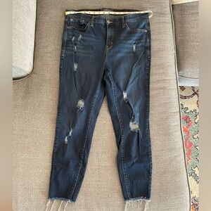 Torrid Distressed Skyhigh skinnies